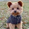 Profilbild von Yogi47