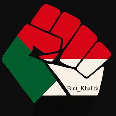 Bit_Khalifa1417's profile picture