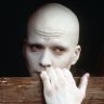 White Powder's profile picture