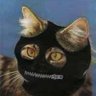 Profilbild von Jef Mac.🏴‍☠️