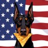 Profilbild von Nacho Dog