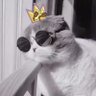 Profilbild von 0x花京