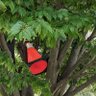 Фото профиля Treebe