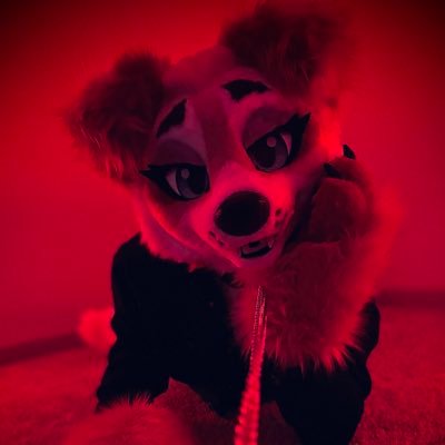 Milkshake's profile picture