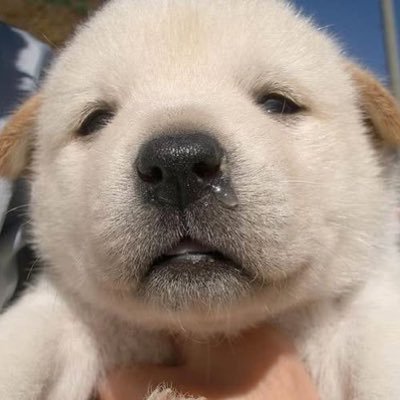 지수's profile picture