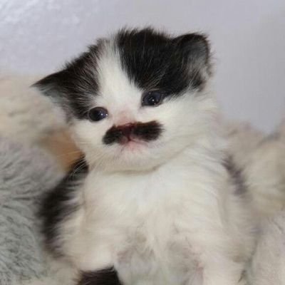 &O's profile picture