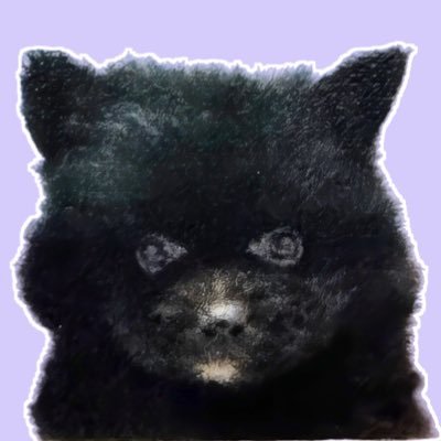 noah_blackfox's profile picture