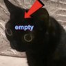 yvv profil fotoğrafı