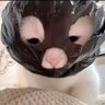 𝑱𝒂𝒔𝒎𝒊𝒏𝒆 天才小猫咪 的头像