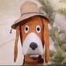 Profilbild von Hectordog