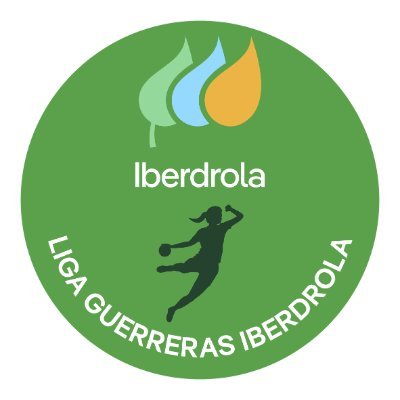 IberdrolaDHF's profile picture