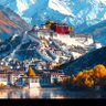 Фото профиля yang
