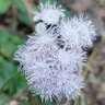 Фото профиля ram