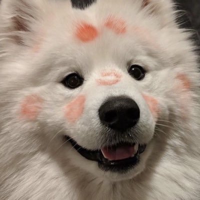 ljb♡ꔛ♡'s profile picture