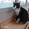 Profilbild von Alwaystea02