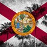 Beth 🇺🇸 🏝️🦩🐊🇺🇸's profile picture