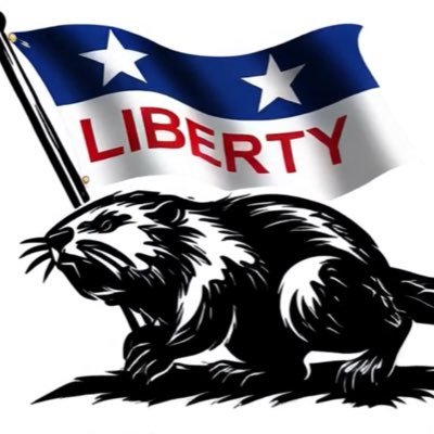 Dissident Canuck's profile picture