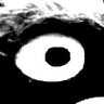 Punished Tree Enthusiast's profile picture