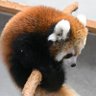 渡こういち 的头像