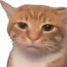 hua's profile picture