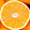 Фото профиля うすげちゃん🍊