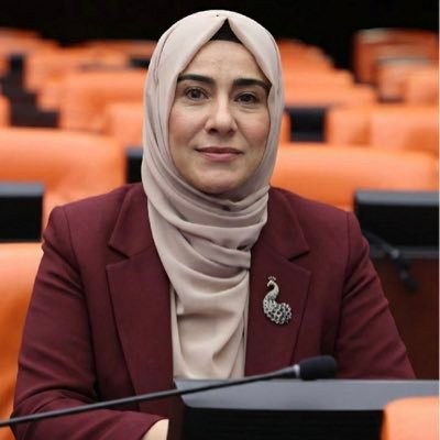 gulderenvarli's profile picture