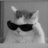 Polski17's profile picture