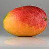 Profilbild von Rotating Little Mango