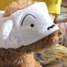 ぴぐ 【ほこネシア】 profil fotoğrafı