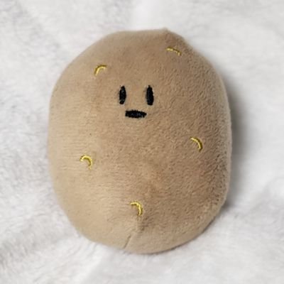 감자's profile picture
