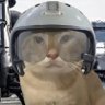 王三十（哈基米版）'s profile picture