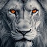 walid's profile picture