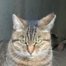 我慢する事が大人ですかね@ profil fotoğrafı