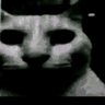 Фото профиля Raidercheckm8
