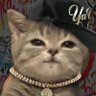 Profilbild von dammie_lee ☪️