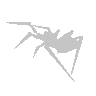 SkinWeb 的头像