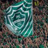 الحارثي #بطل النخبتين الحراقة🔥🏆💚 profil fotoğrafı