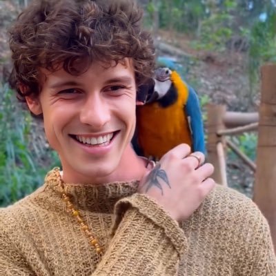 Portal Shawn Mendes's profile picture