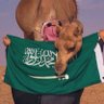 Profilbild von احب وطني