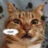 Profilbild von KhuntHunter