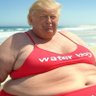 Profilbild von Fat Trump