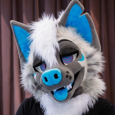 Rei 🔜 NFC, LVFC, Furizon's profile picture