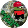 Profilbild von Captain Toke