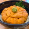 don uni どんウニ profil fotoğrafı