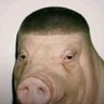 Profilbild von Niner Jage