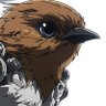 ukopa's profile picture