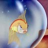 racist fish profil fotoğrafı