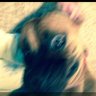 Traci A's profile picture