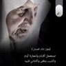 الرحال profil fotoğrafı