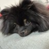 りょーーー's profile picture